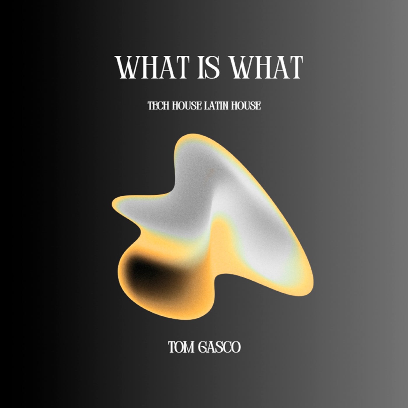 Cover - Tom Gasco - What Is What (Tech House Latin House) Promo tools