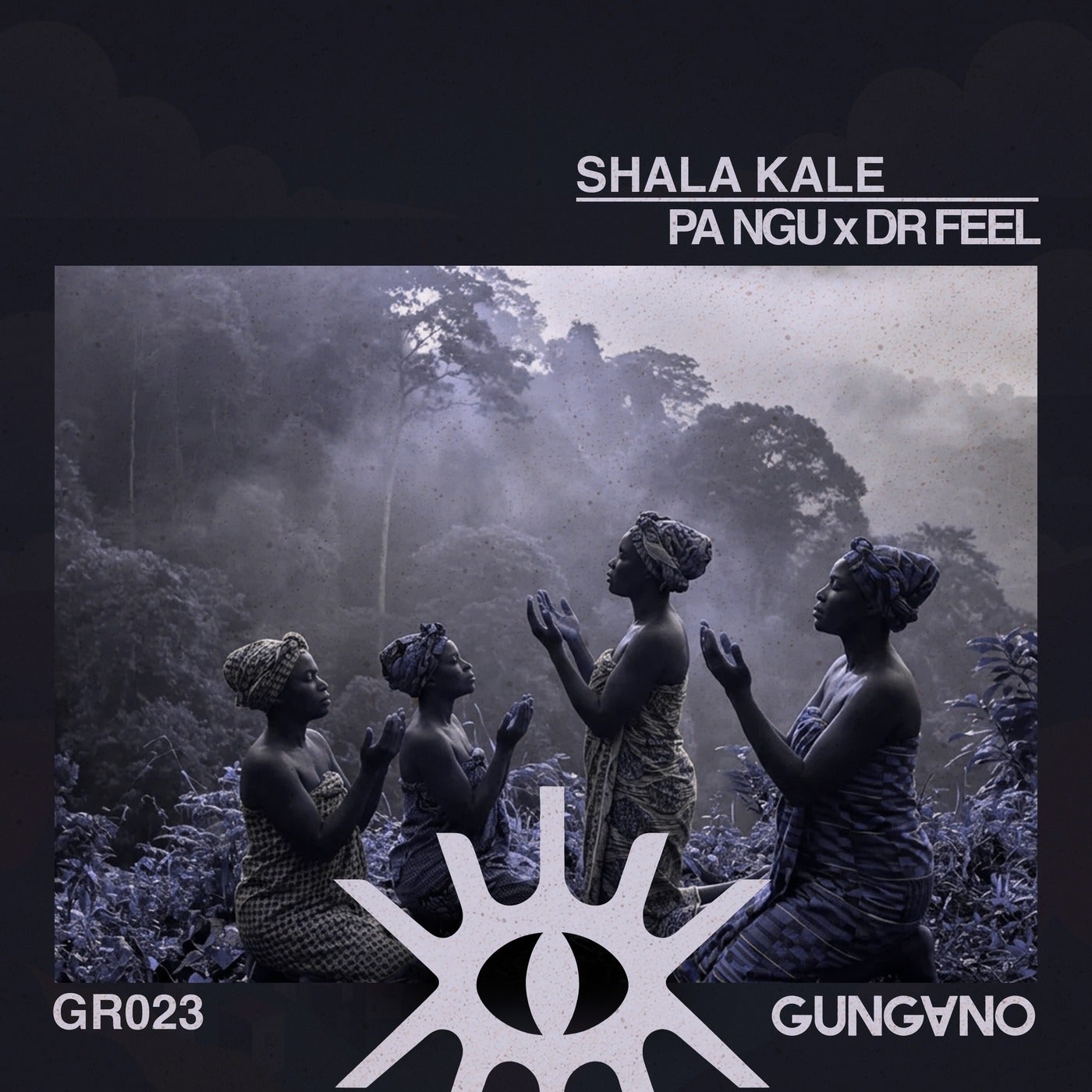 Cover - Dr Feel, PA NGU - Shala Kale (Original Mix) Promo tools