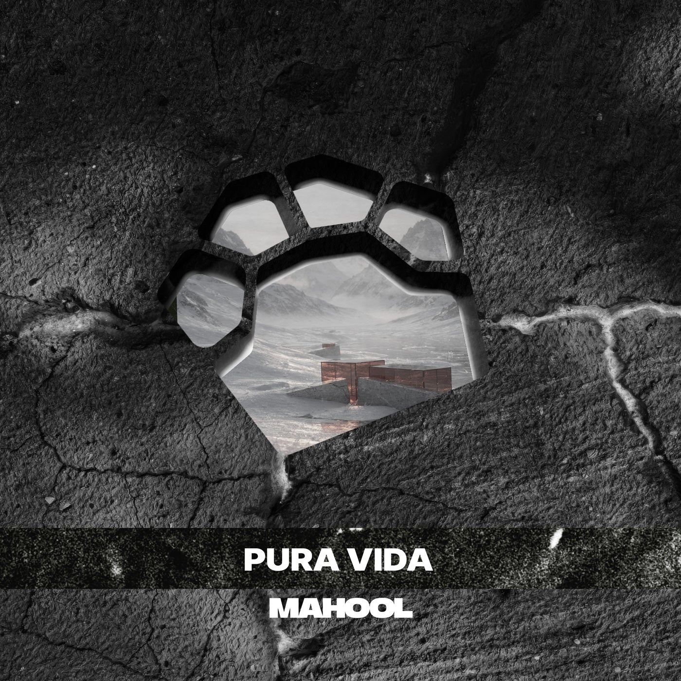 Cover - Bigfett - Pura Vida (Original Mix) Promo tools