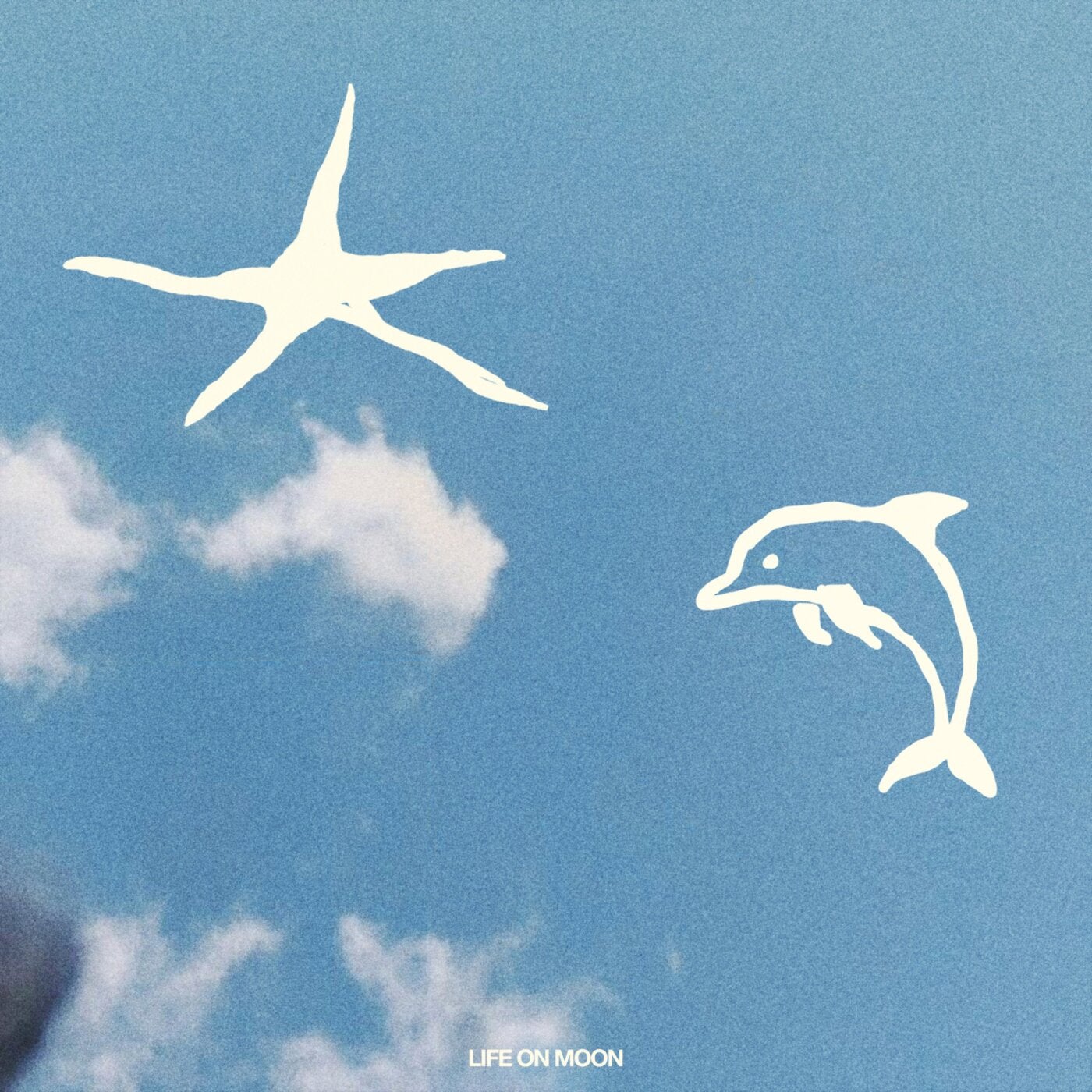 Cover - Chris Luno - Dolphin Groove (Original Mix) Promo tools