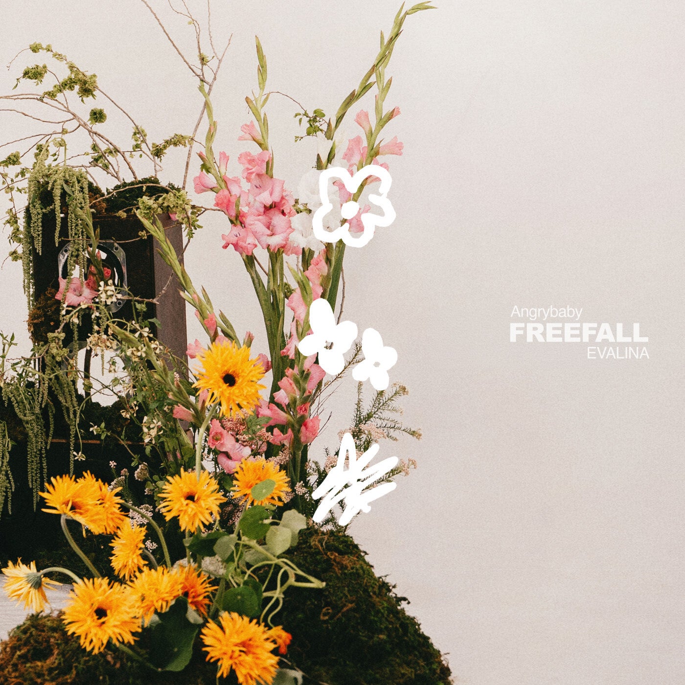 Cover - EVALINA, Angrybaby - FREEFALL (Original Mix) Promo tools