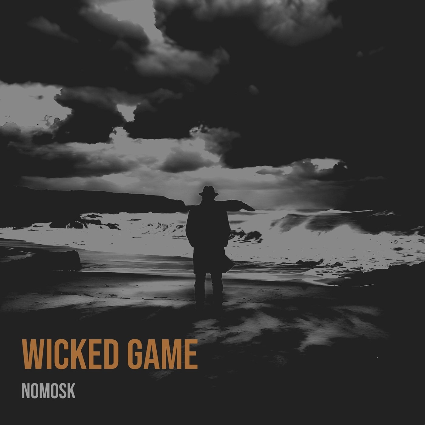 Cover - NoMosk - Wicked Game (Extended Mix) Promo tools