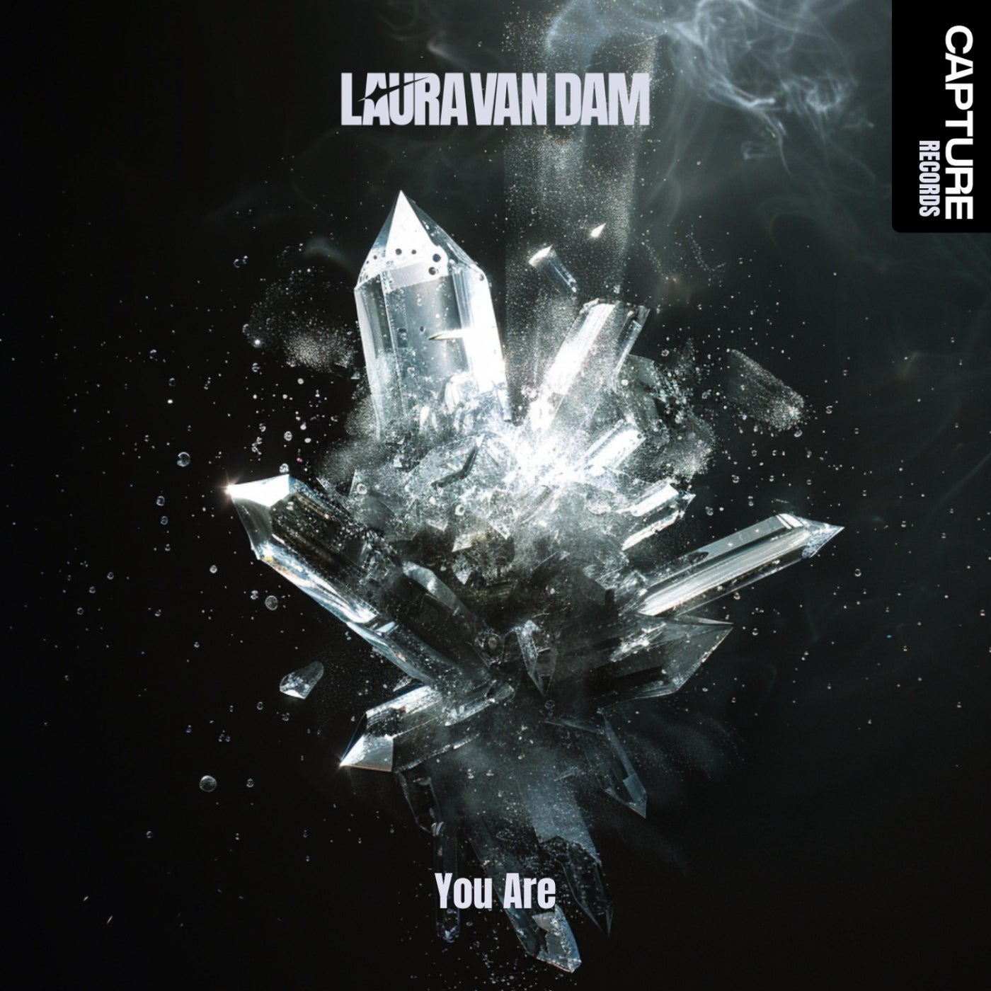 Cover - Laura van Dam - You Are (Extended Mix) Promo tools