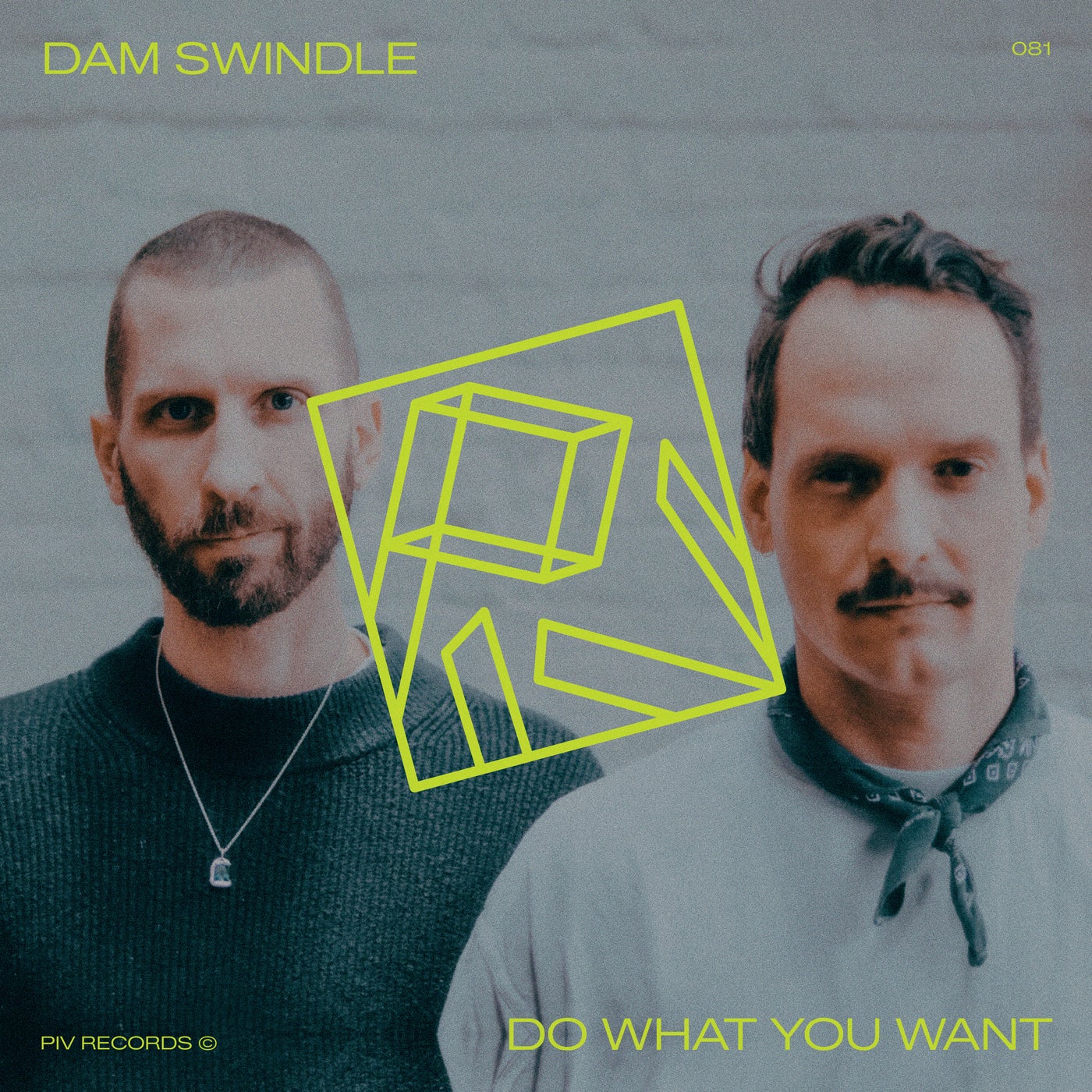 Cover - Dam Swindle - Do What You Want (Original Mix) Promo tools