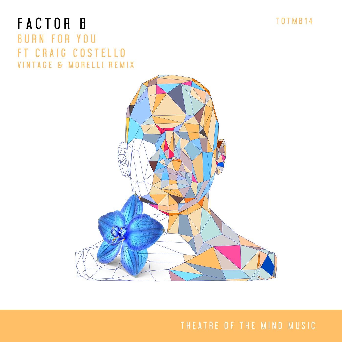 Cover - Factor B, Craig Costello - Burn For You (Vintage & Morelli Extended Remix) Promo tools