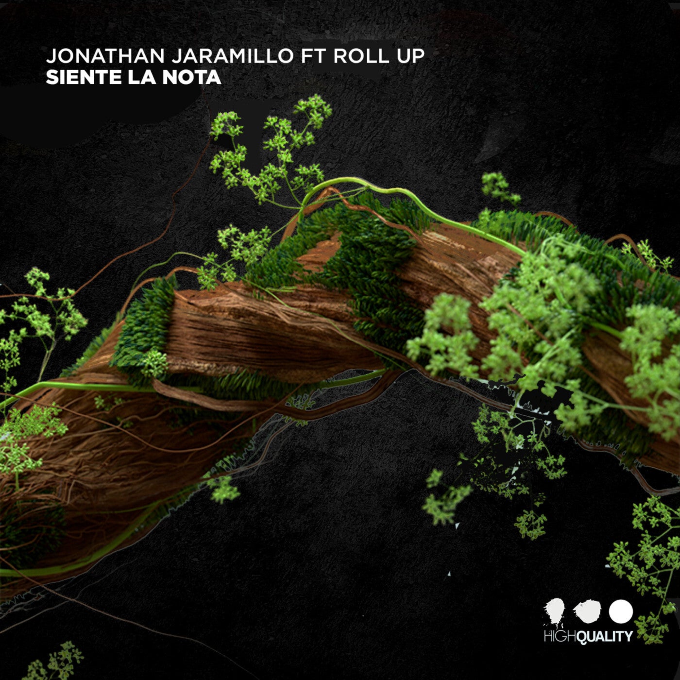 Cover - Jonathan Jaramillo - Siente la Nota (feat. Roll Up) (Original Mix) Promo tools