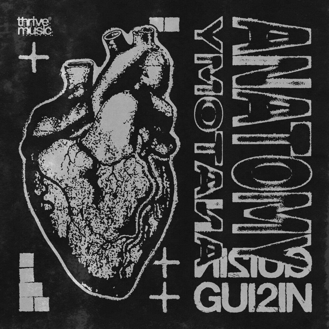 Cover - GUI2IN - Ass & Titties (Extended Mix) Promo tools