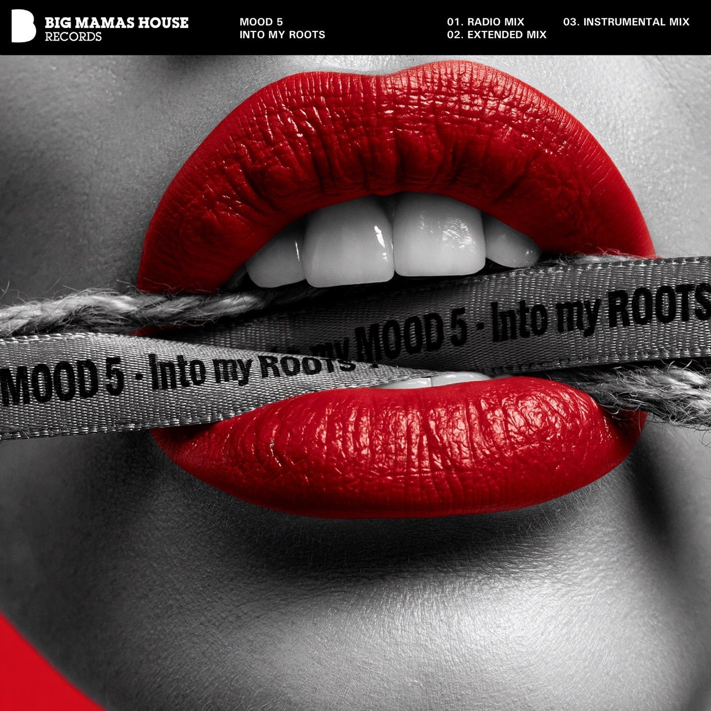 Cover - Mood 5 - Into My Roots (Extended Mix) Promo tools