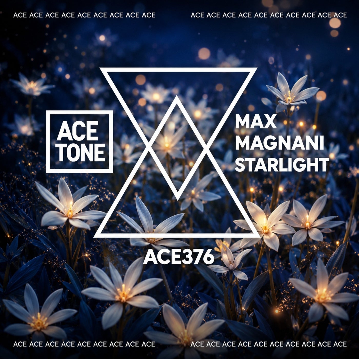 Cover - Max Magnani - Starlight (Original Mix) Promo tools