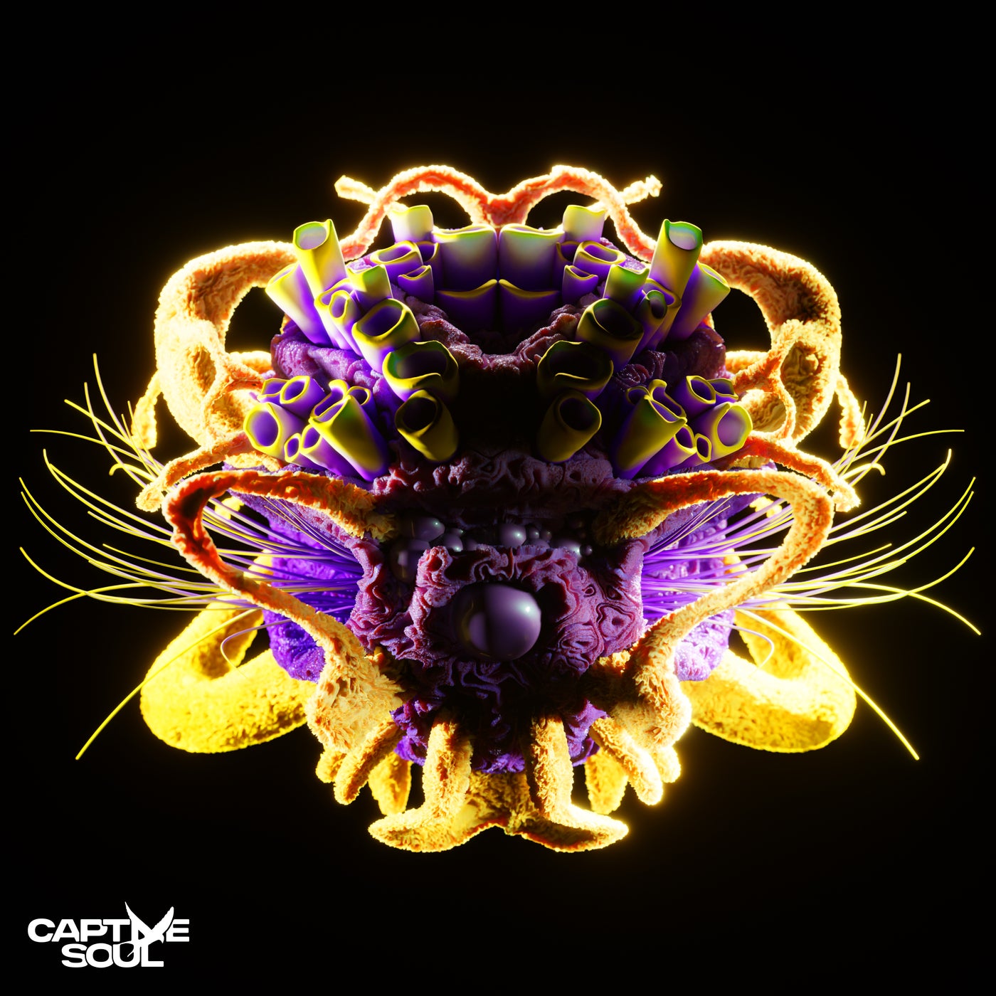 Cover - ANTICALM, Jules Brand (NL) - The Moment (feat. ANTICALM) (Extended Mix) Promo tools