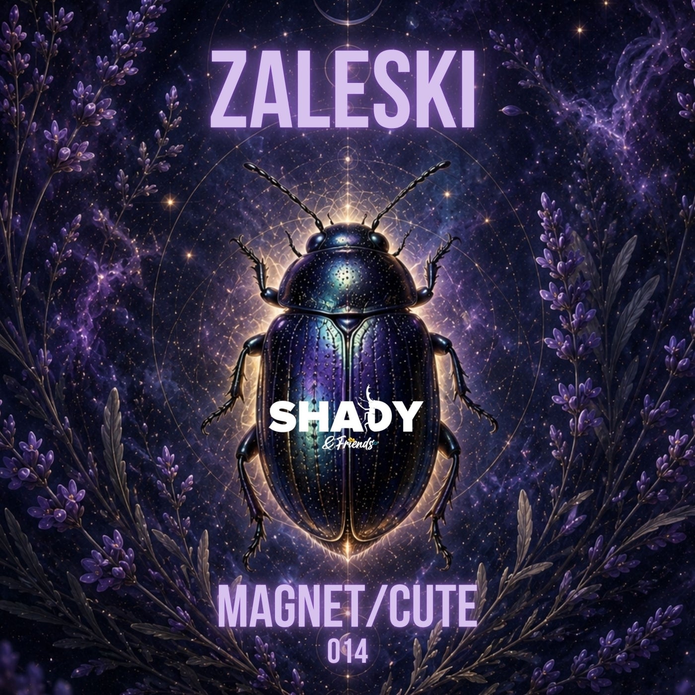 Cover - Zaleski - Magnet (Original Mix) Promo tools