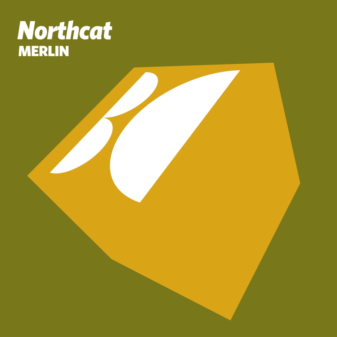 Cover - Northcat - Bayou Blue (Original Mix) Promo tools