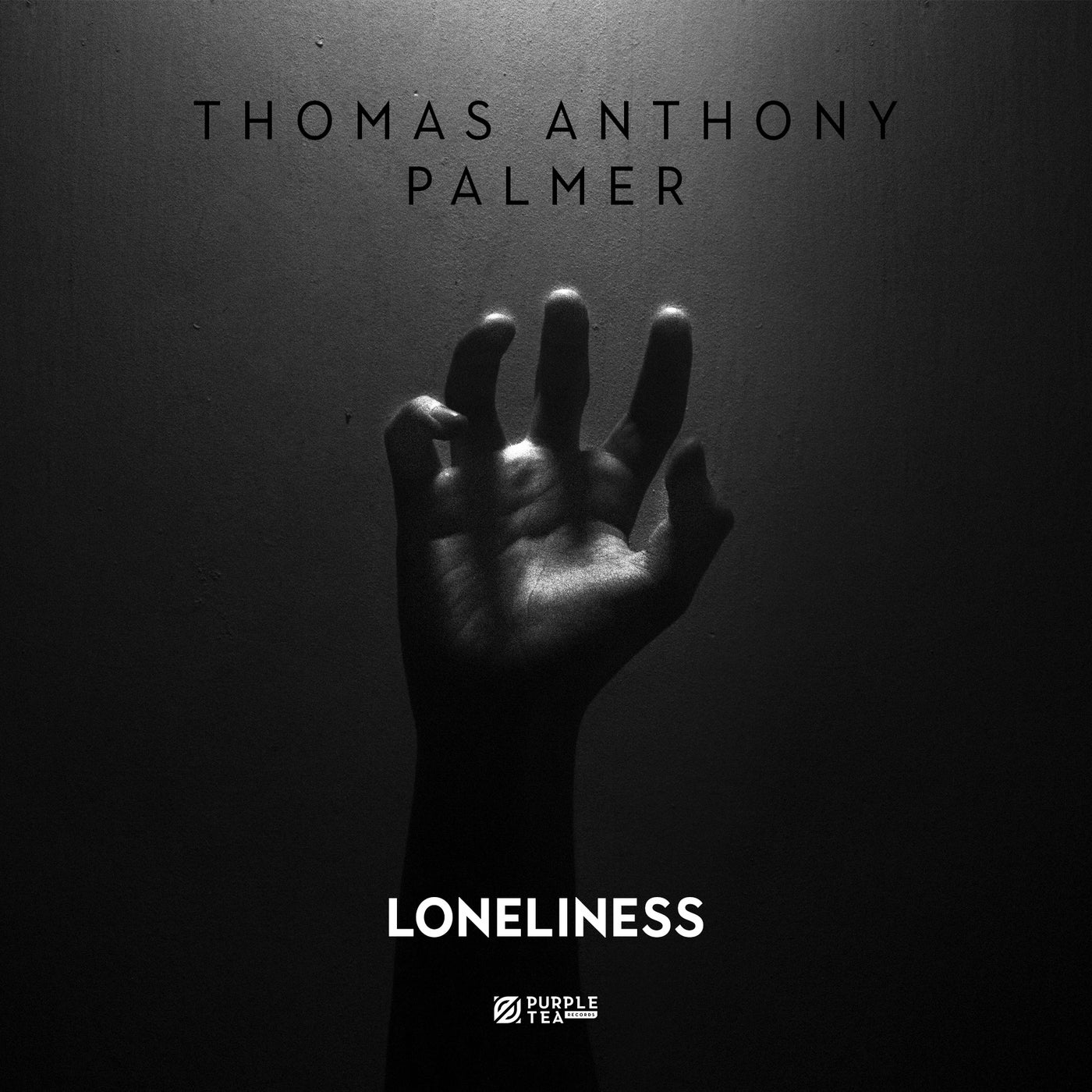 Cover - Palmer, Thomas Anthony - Loneliness (Extended Mix) Promo tools