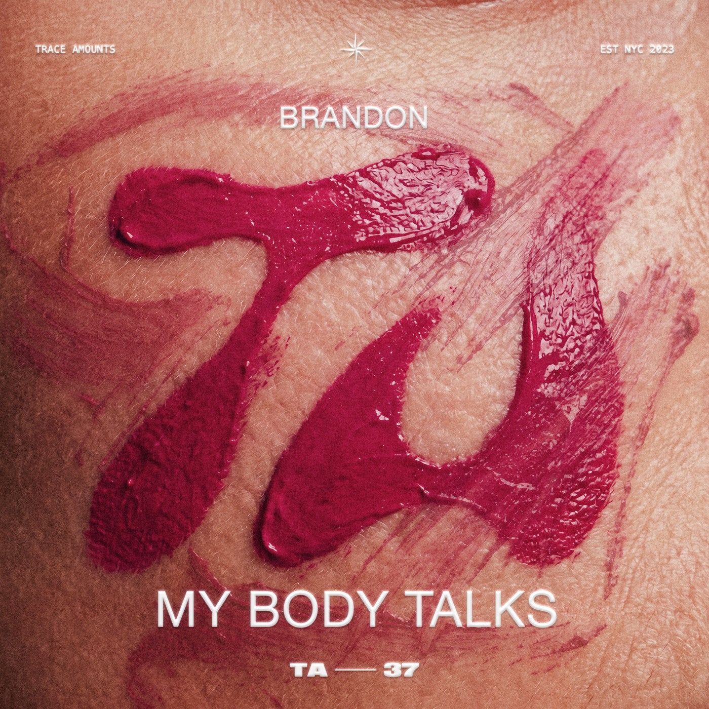 Cover - BRANDON (DE) - My Body Talks (Extended Mix) Promo tools