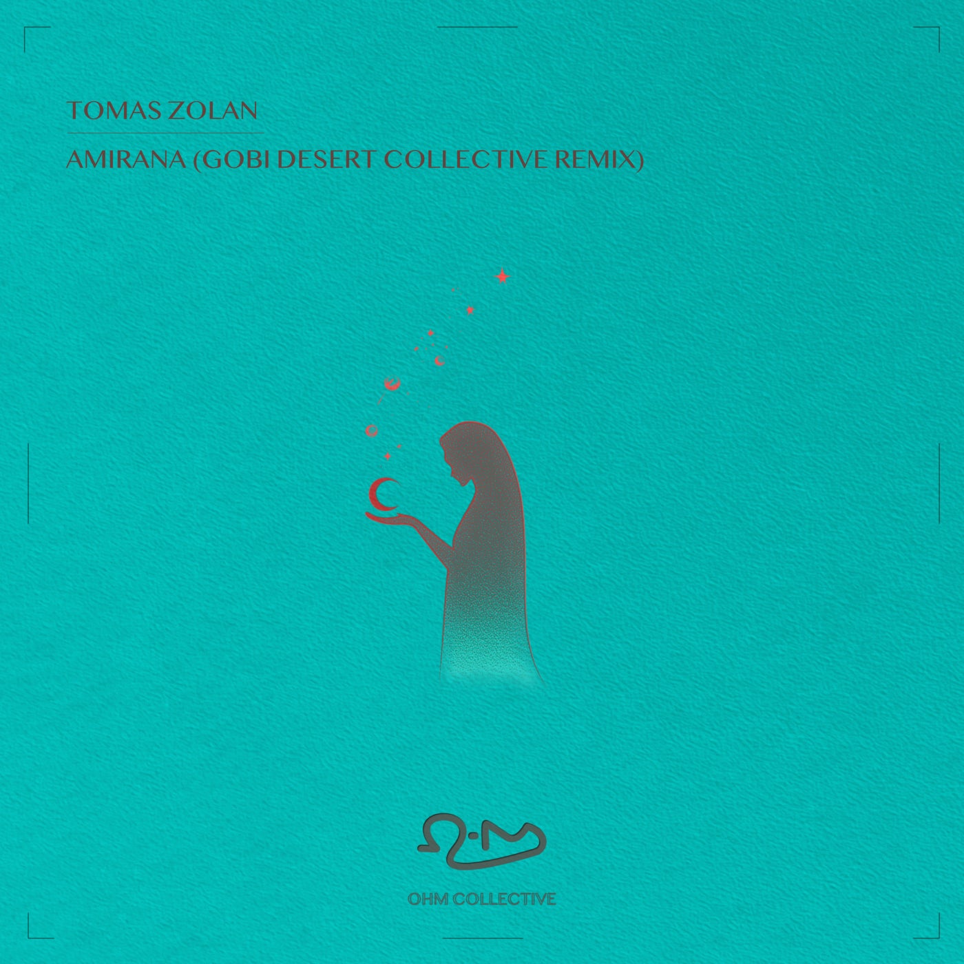 Cover - Tomas Zolan, Ohm Collective - Amirana (Gobi Desert Collective Remix) Promo tools