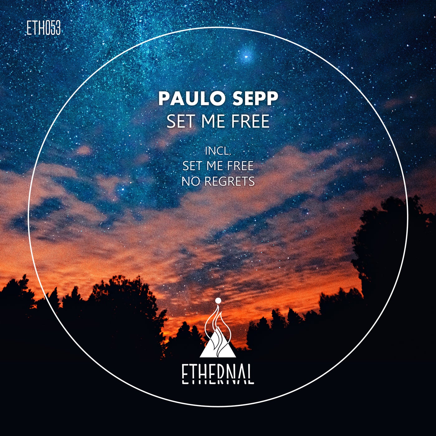 Cover - Paulo Sepp - No Regrets (Original Mix) Promo tools