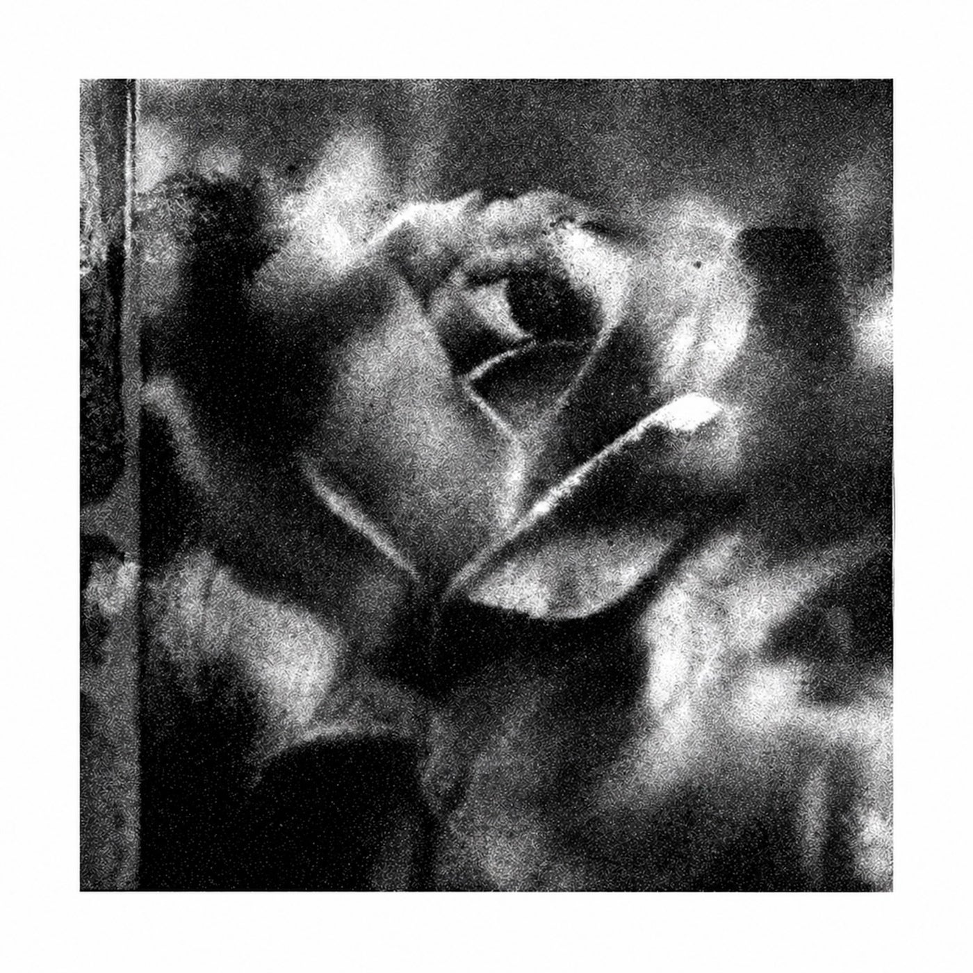 Cover - Joline Scheffler - Datura (Original Mix) Promo tools