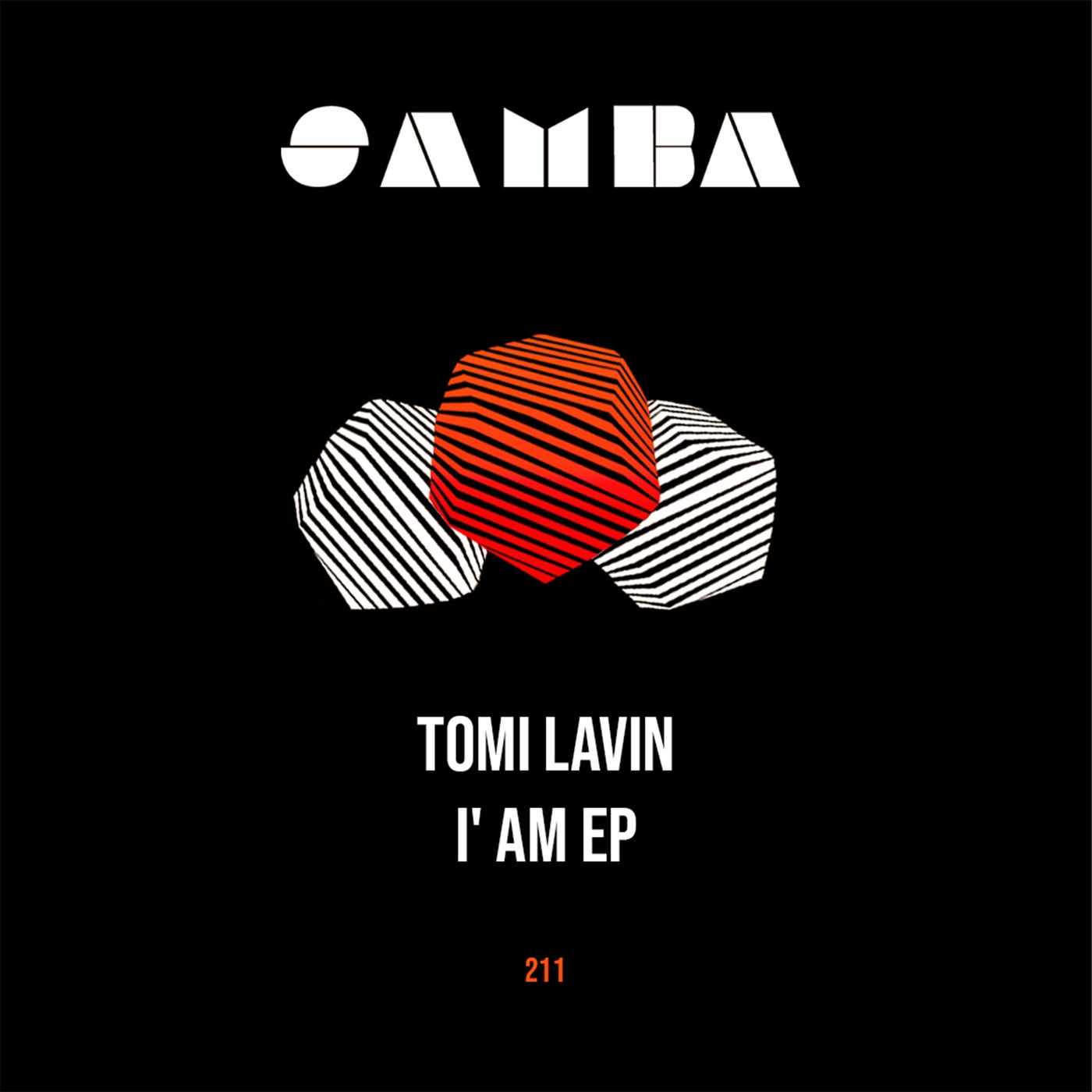 Cover - Tomi Lavin - We Are Charning (Original Mix) Promo tools