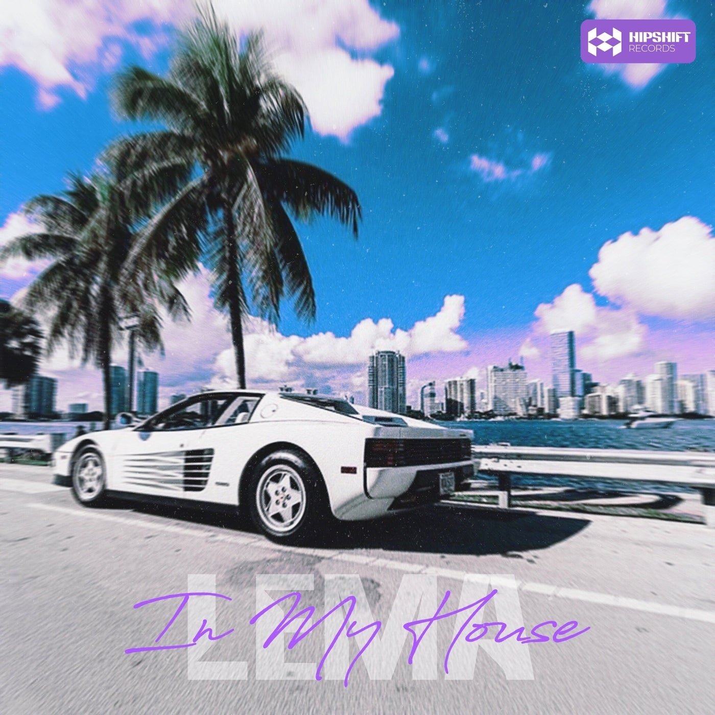 Cover - Lema - In My House (Extended Mix) Promo tools