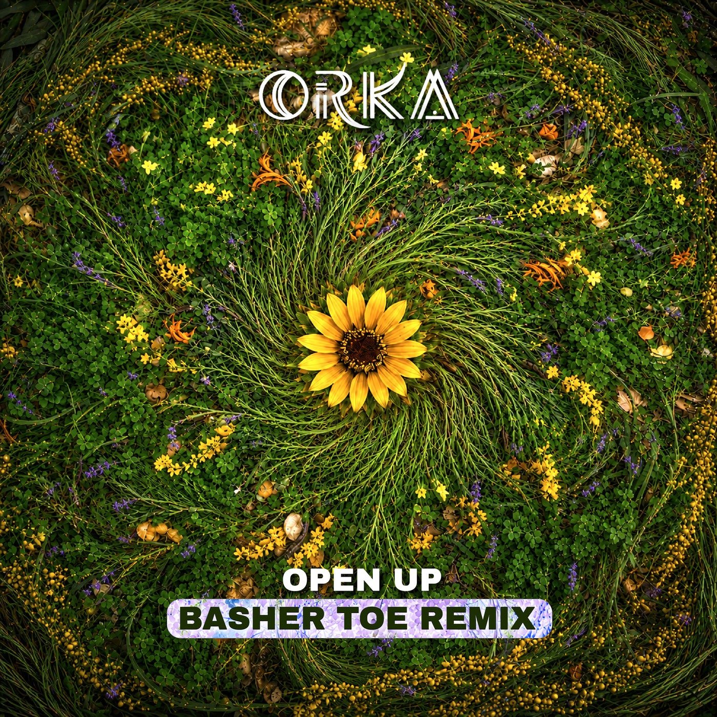 Cover - ORKA, Basher Toe - Open Up (Basher Toe Remix) Promo tools