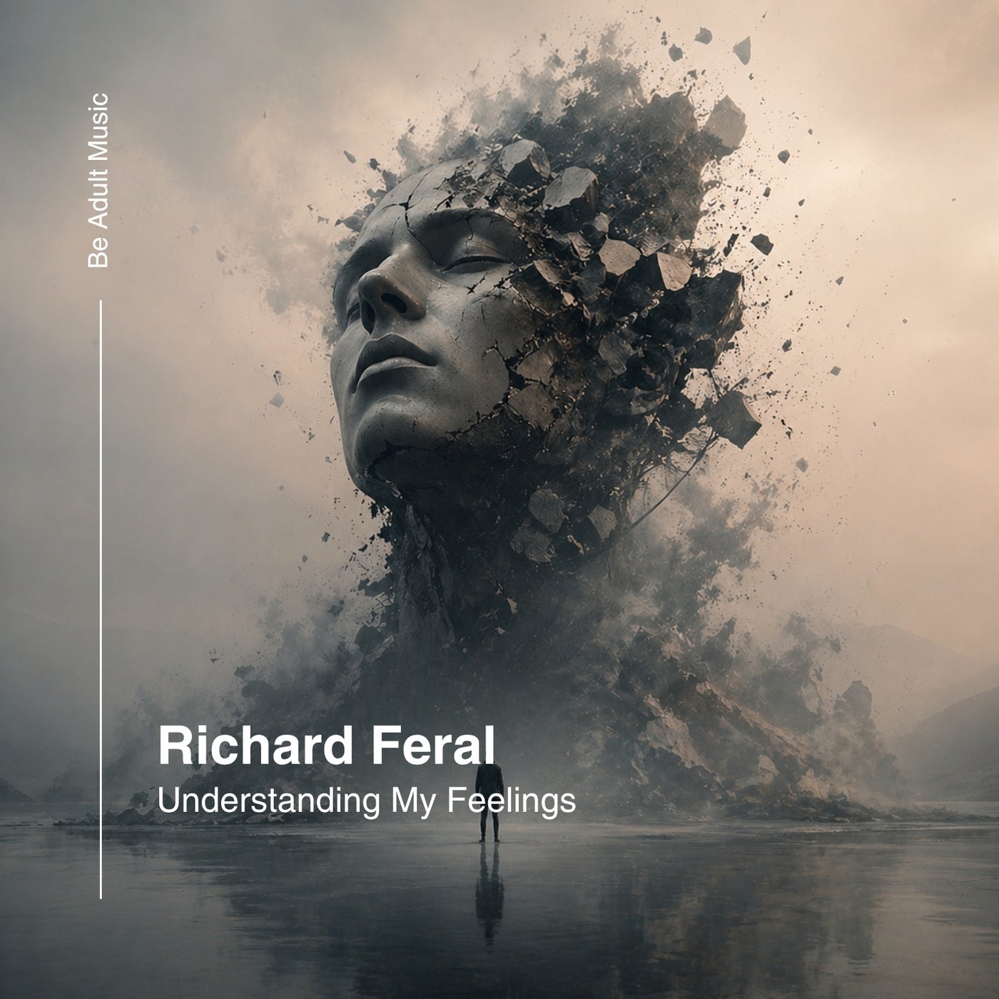 Cover - Richard Feral - Understanding My Feelings (Original Mix) Promo tools
