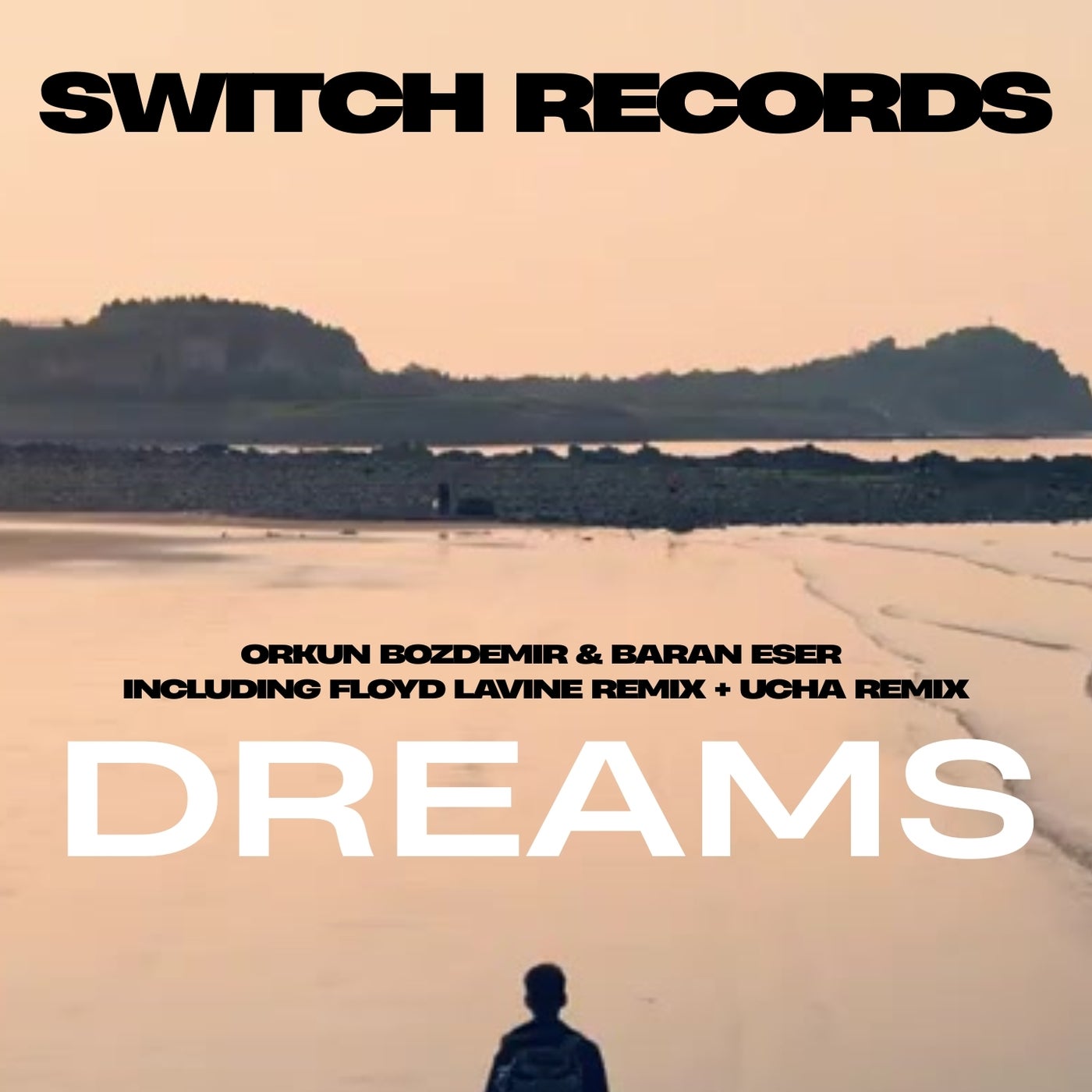 Cover - Orkun Bozdemir, Baran Eser - Dreams (Floyd Lavine Remix) Promo tools