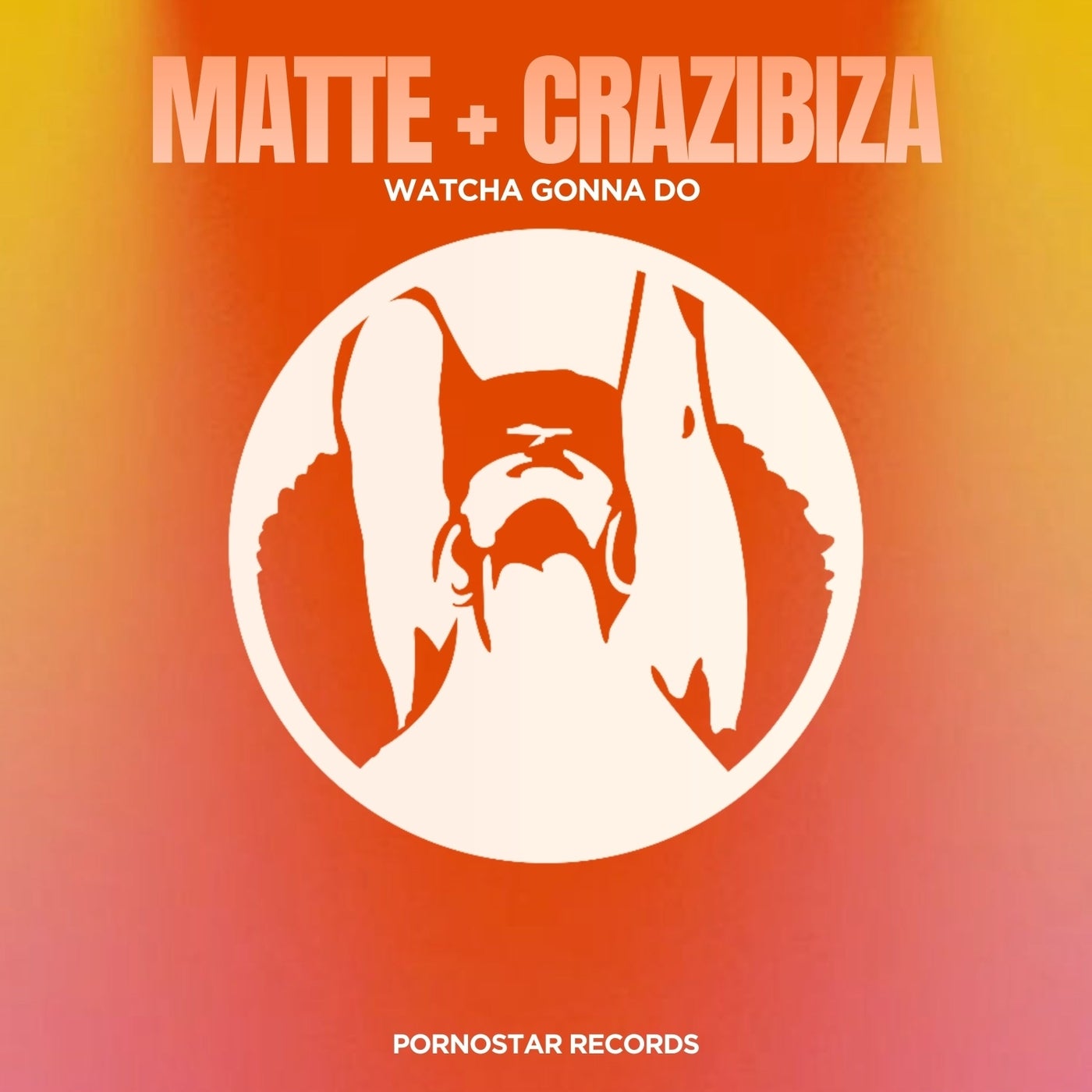 Cover - Crazibiza, Matte - Watcha Gonna Do (Original Mix) Promo tools