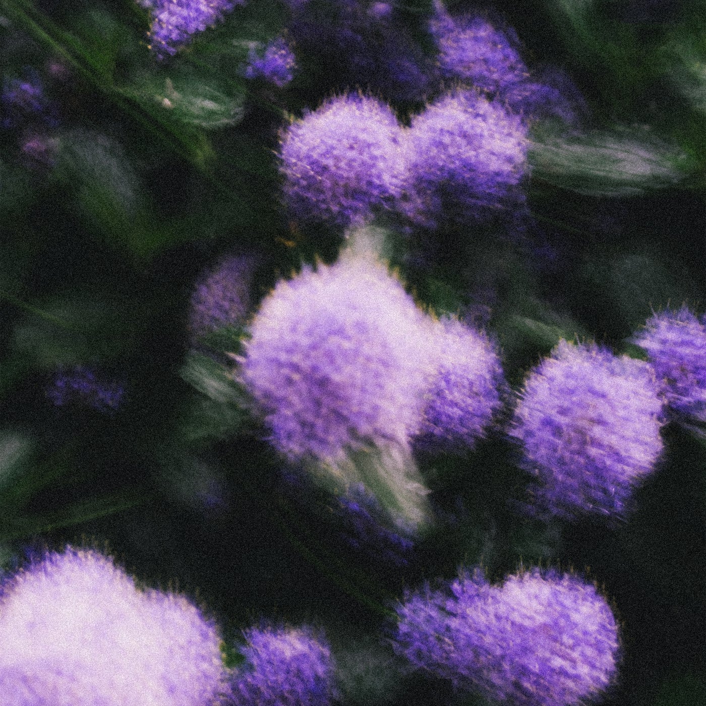 Cover - En:vy - Finite Heart (Original Mix) Promo tools