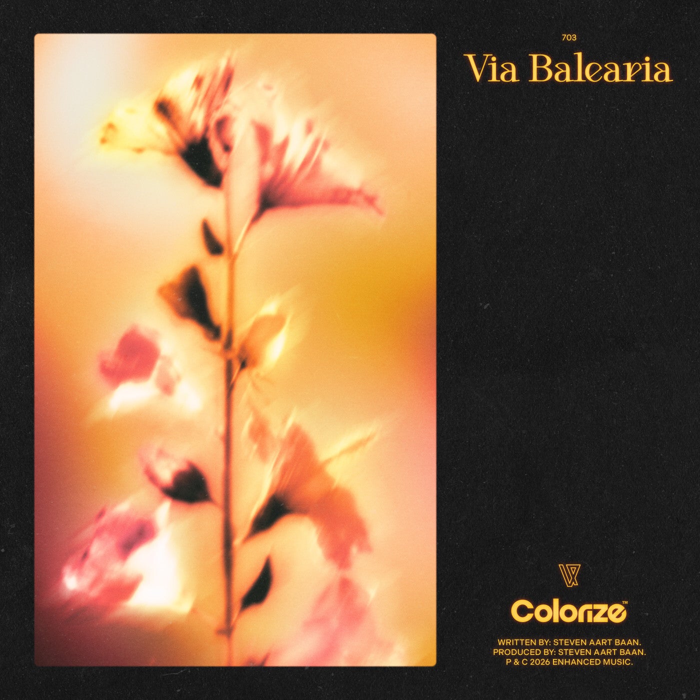 Cover - Estiva - Via Balearia (Extended Mix) Promo tools
