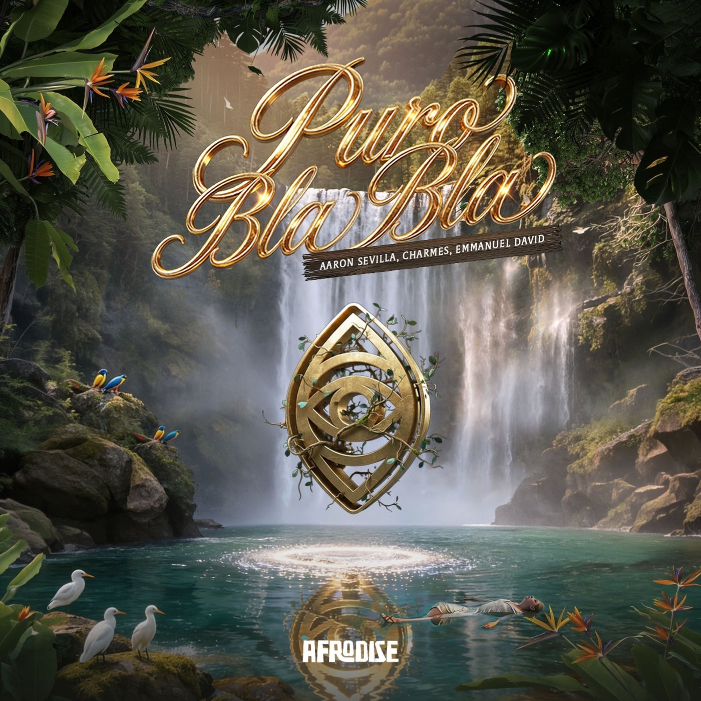 Cover - Charmes, Aaron Sevilla, Emmanuel David - Puro Bla Bla (Original Mix) Promo tools