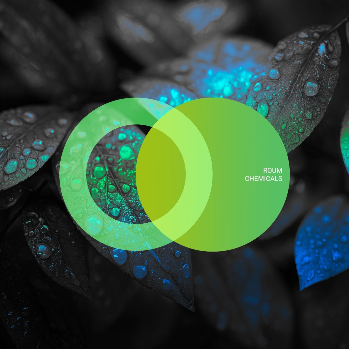 Cover - Roum - Chemicals (Original Mix) Promo tools