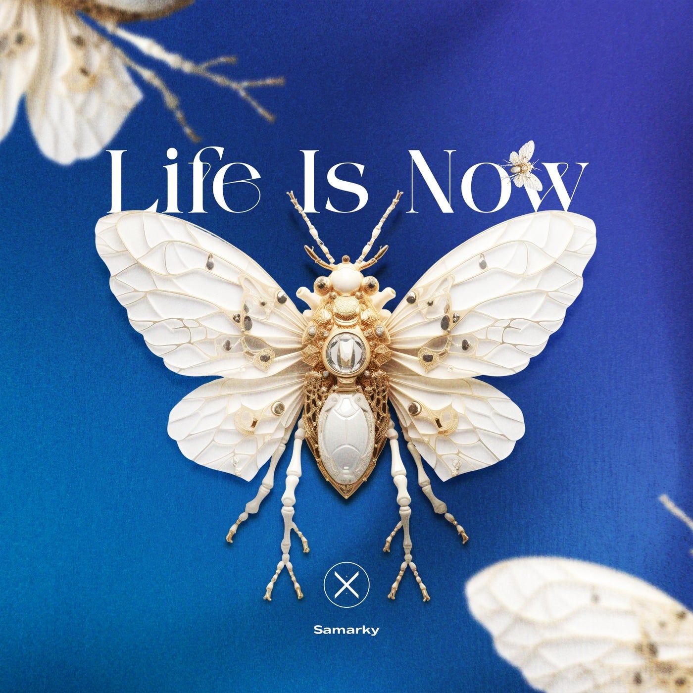 Cover - Samarky - Life Is Now (Extended Mix) Promo tools