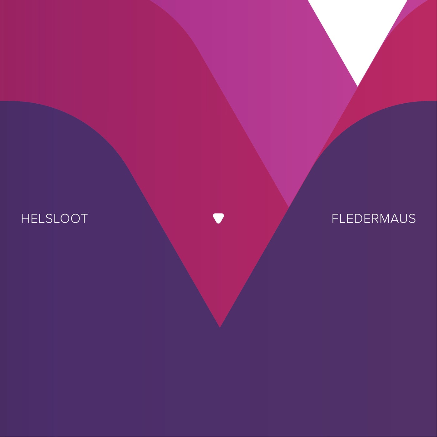 Cover - Helsloot - Fledermaus (Extended Mix) Promo tools