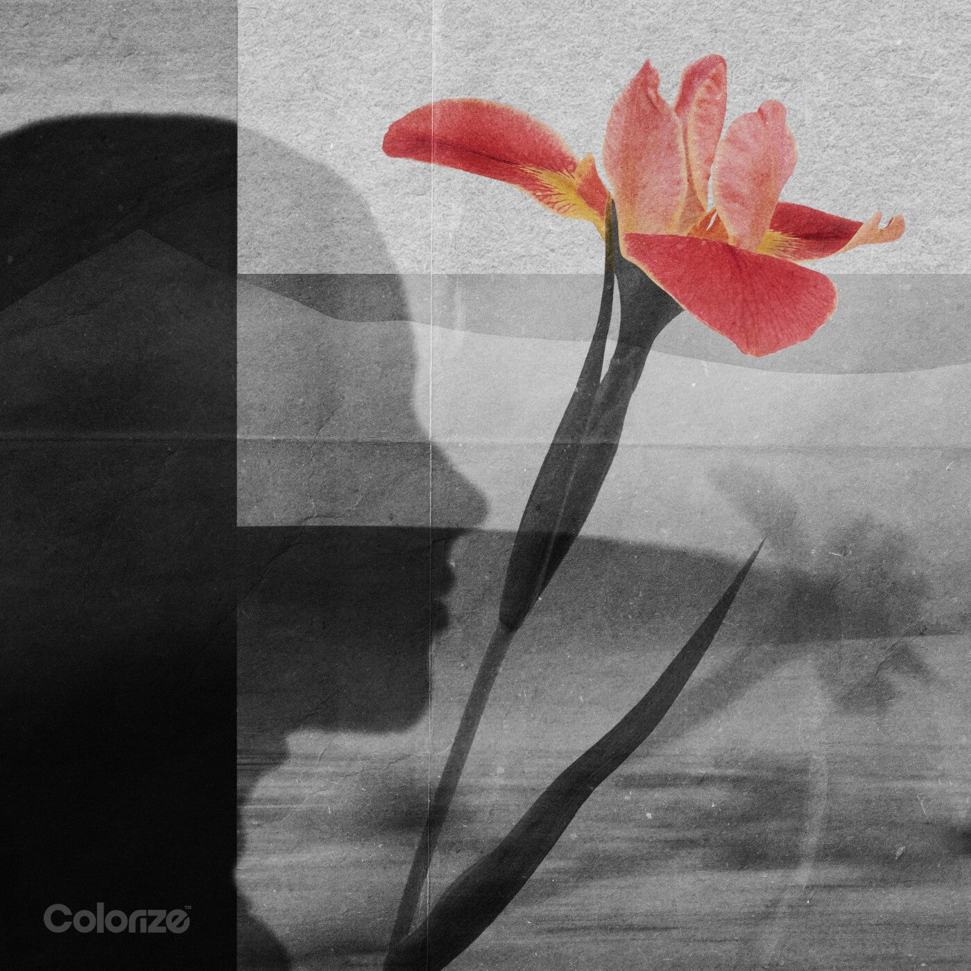 Cover - Polar Inc., Anna-Sophia Henry - Sympathy (Extended Mix) Promo tools
