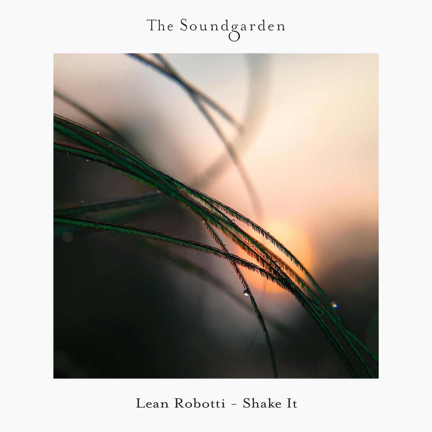 Cover - Lean Robotti - Haven (Extended Mix) Promo tools