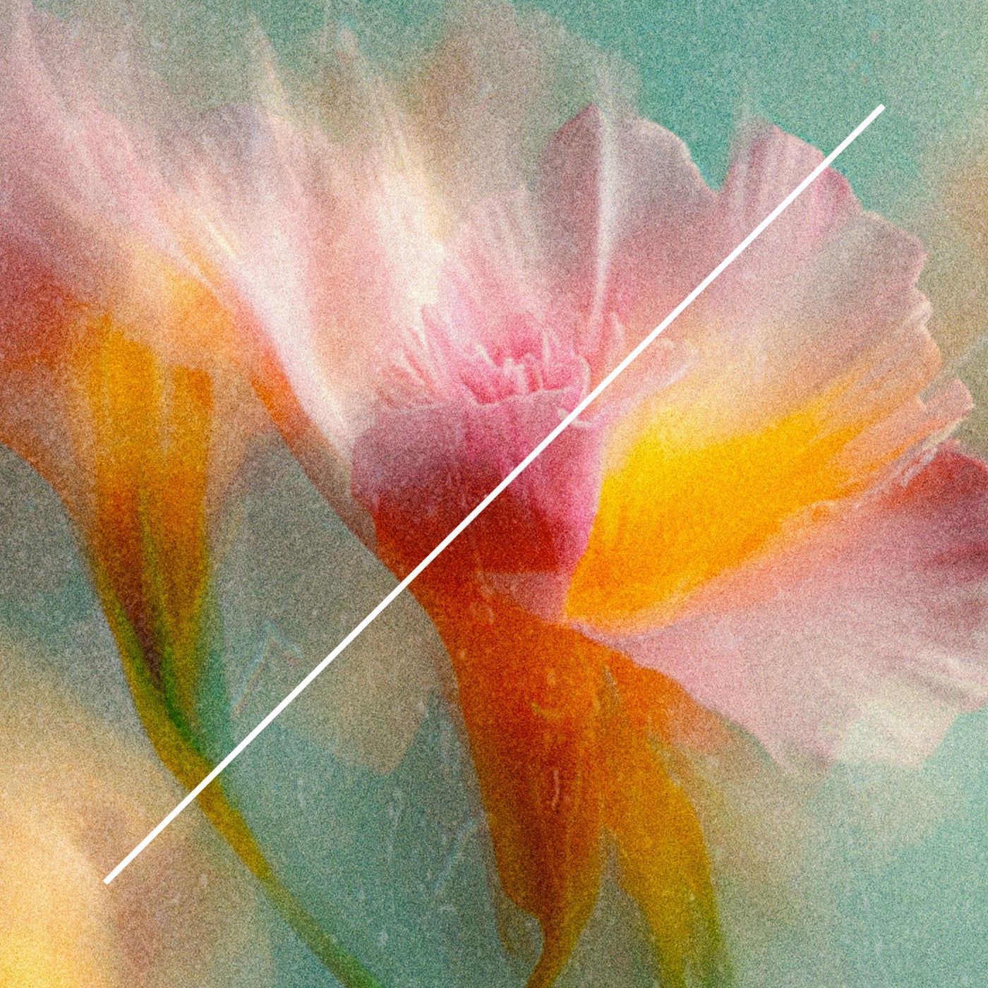Cover - Ben Monday - Let the Magic Flow (Greg Ochman Remix) Promo tools