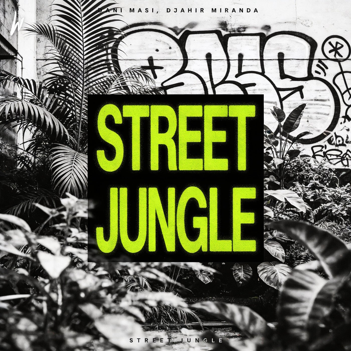 Cover - Dani Masi, DJahir Miranda - Street Jungle (Extended Mix) Promo tools