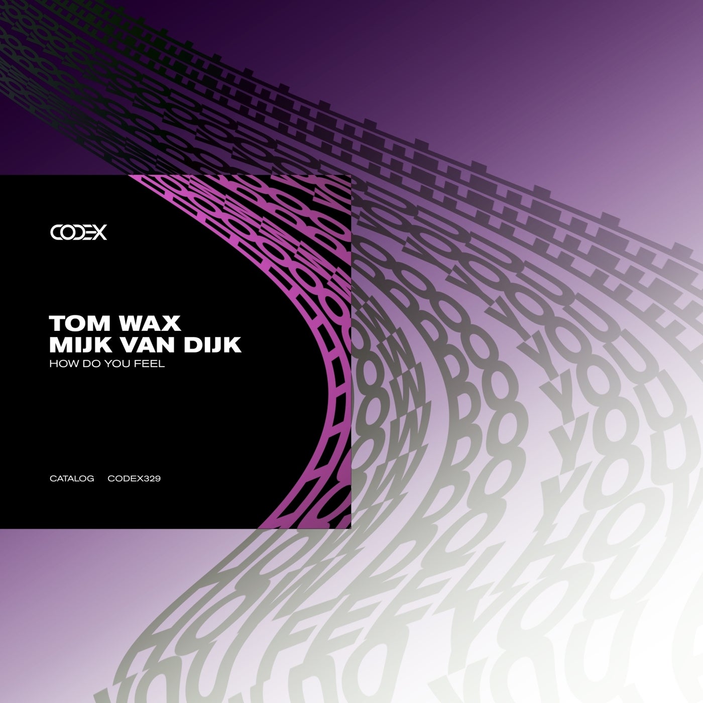 Cover - Mijk van Dijk, Tom Wax - How Do You Feel (Original Mix) Promo tools
