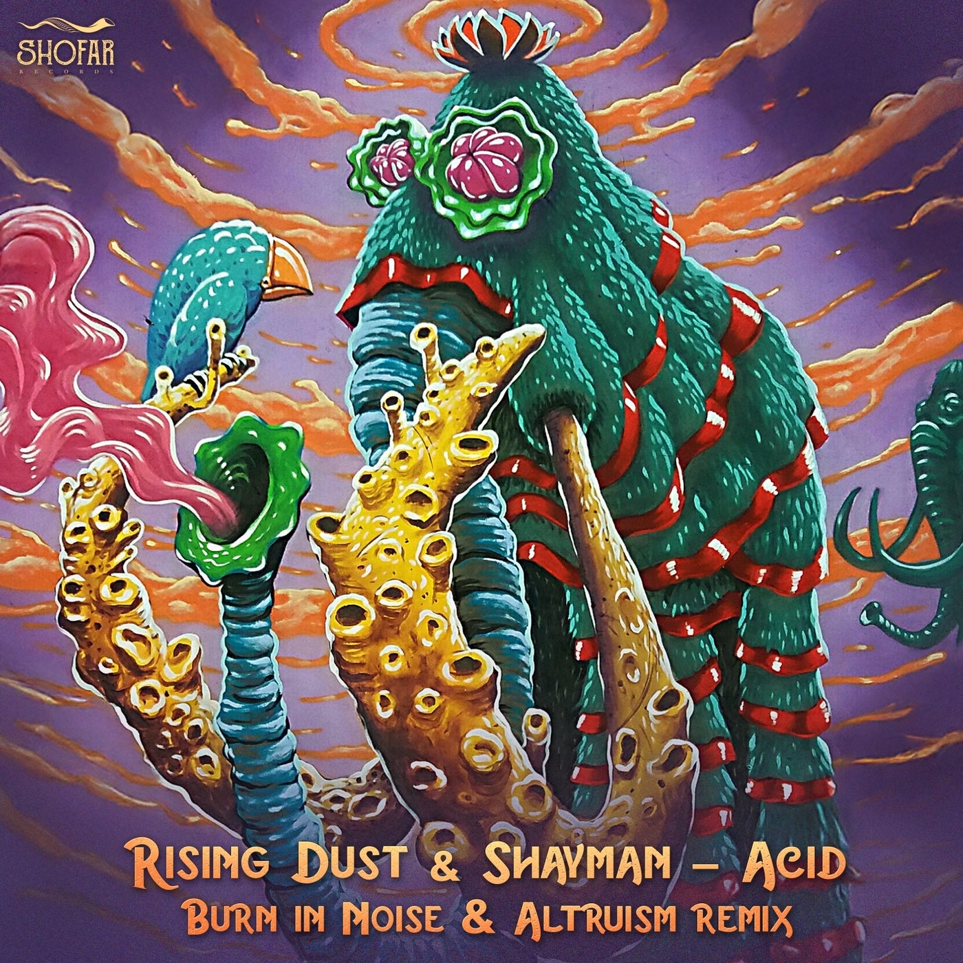 Cover - Shayman, Rising Dust - Acid (Burn In Noise & Altruism Remix) Promo tools