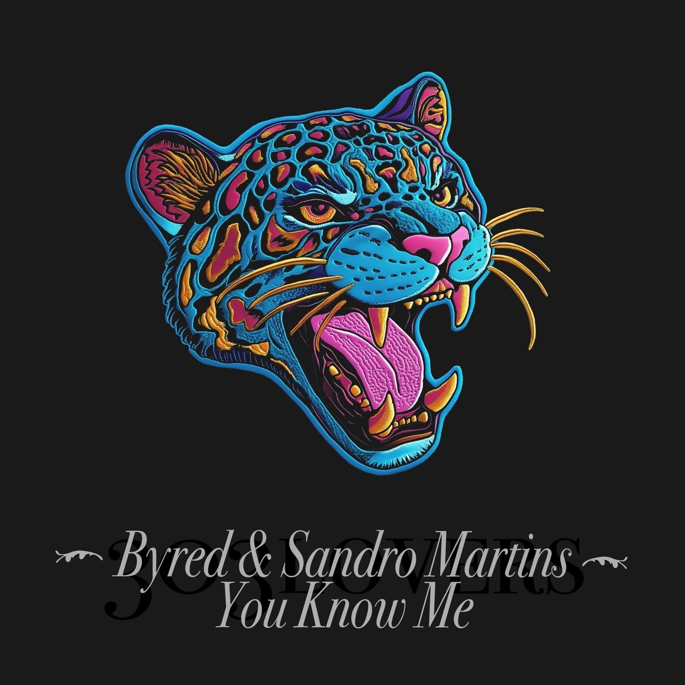 Cover - Byred, Sandro Martins - You Know Me (Extended Mix) Promo tools