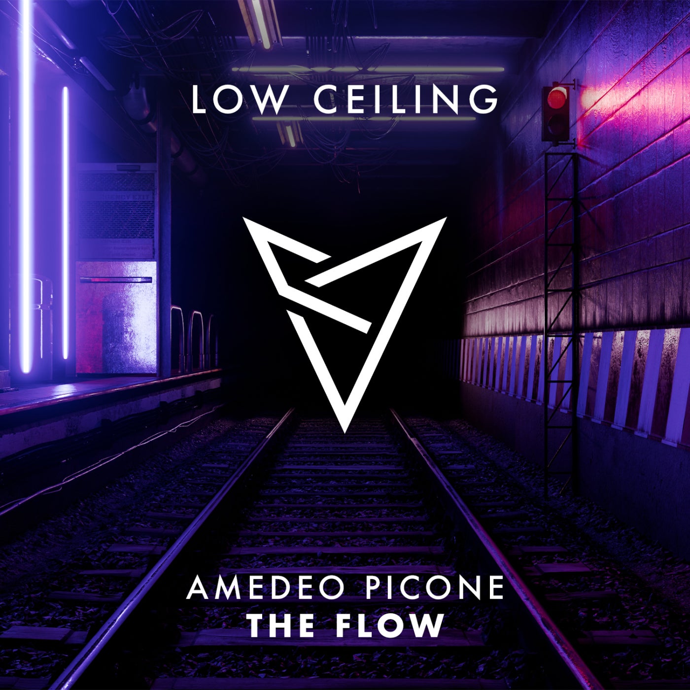 Cover - Amedeo Picone - THE FLOW (Extended Mix) Promo tools