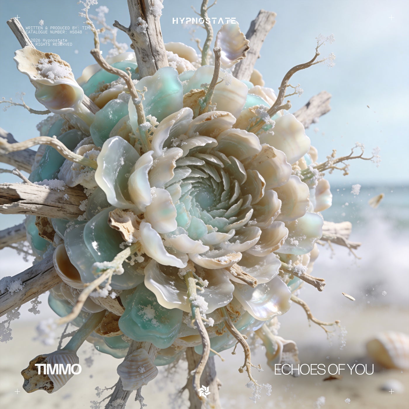 Cover - Timmo - Echoes of You (Extended Mix) Promo tools