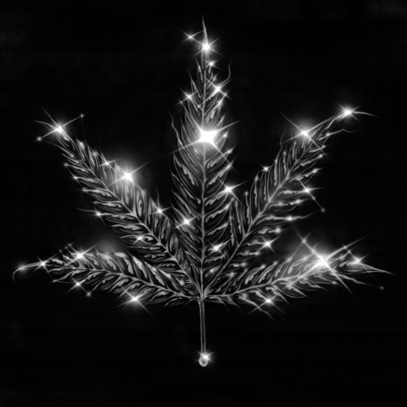 Cover - Polarity, hhunter - Mary Juana (Extended Mix) Promo tools