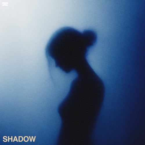 Cover - N4C - SHADOW (Extended Mix) Promo tools