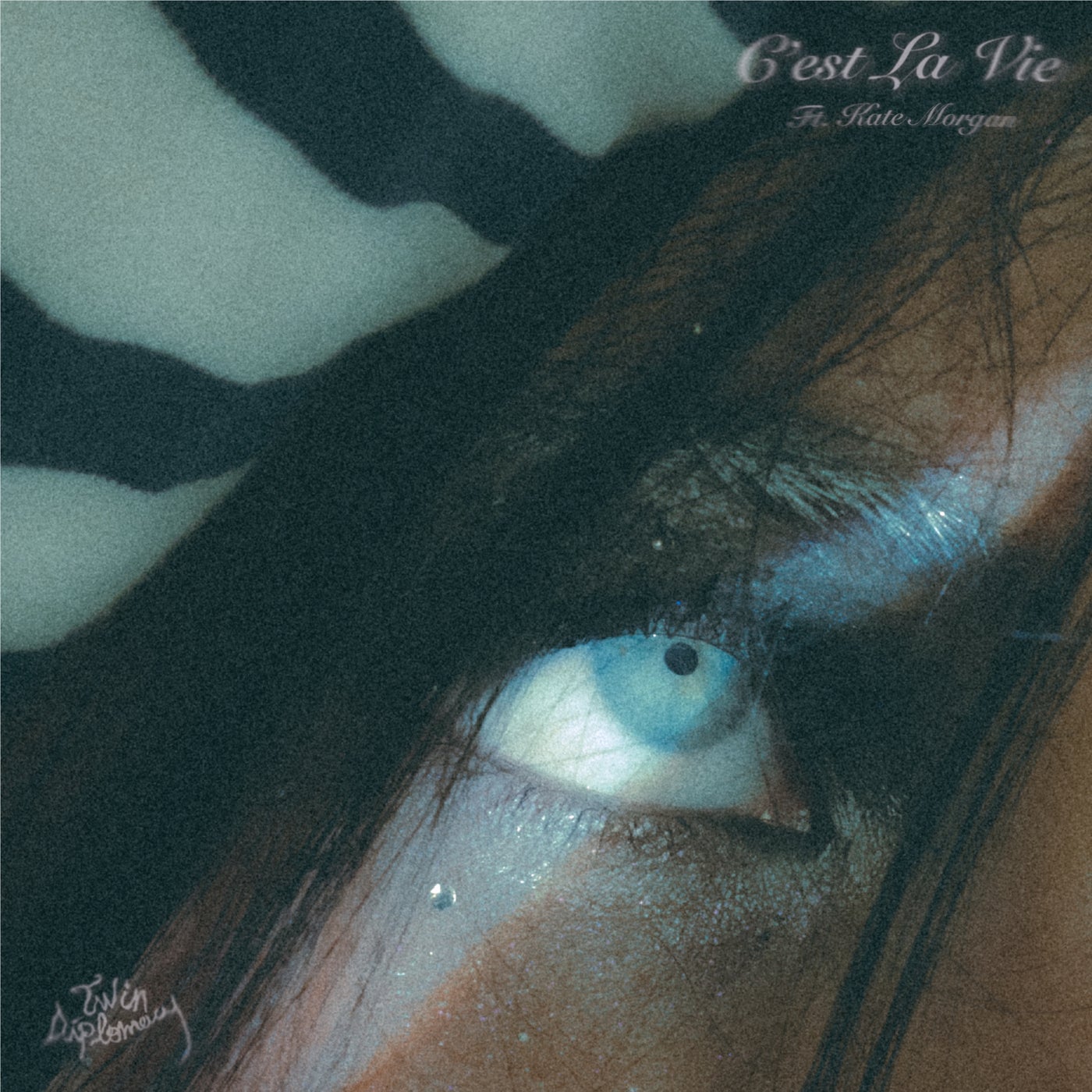 Cover - Kate Morgan, Twin Diplomacy - C'est La Vie (Extended Mix) Promo tools