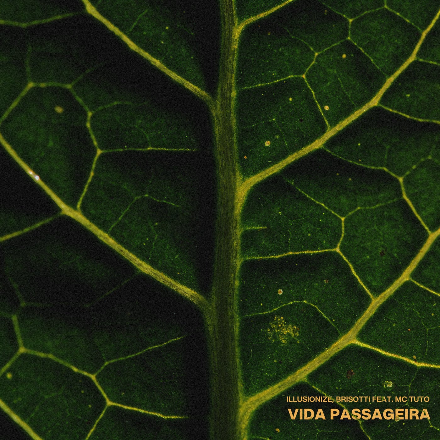 Cover - ILLUSIONIZE, Brisotti, MC Tuto - Vida Passageira (Original Mix) Promo tools
