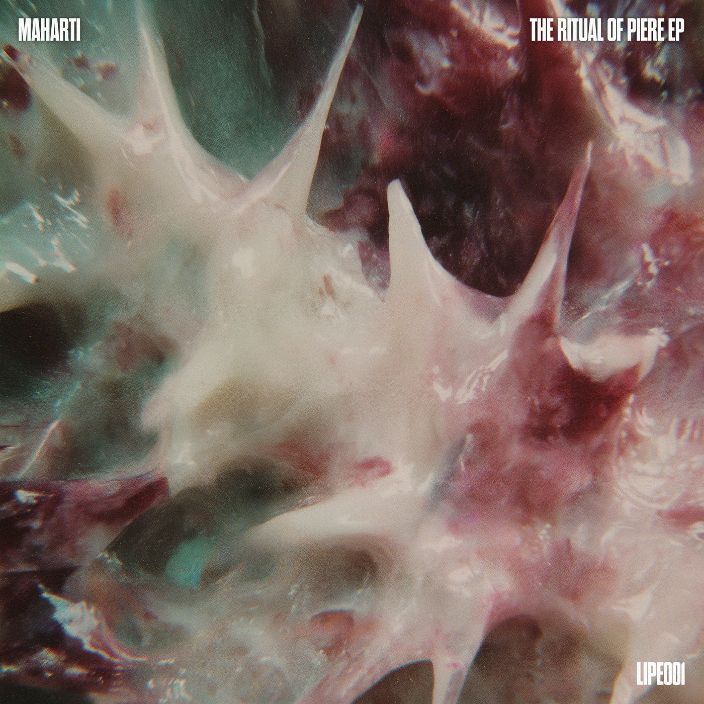 Cover - Maharti - Be24 (Original Mix) Promo tools