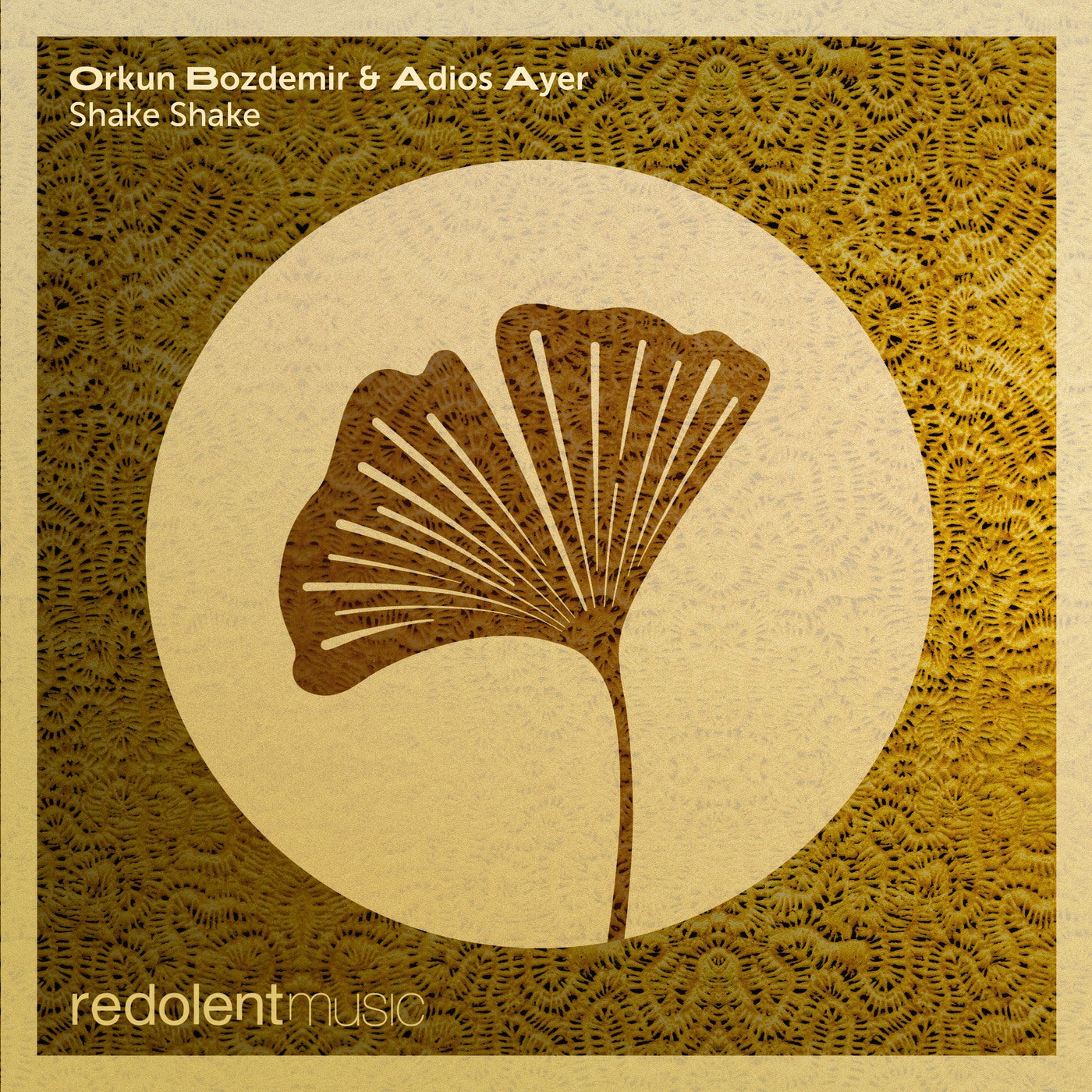 Cover - Orkun Bozdemir, ADIOS AYER - Shake Shake (Original Mix) Promo tools