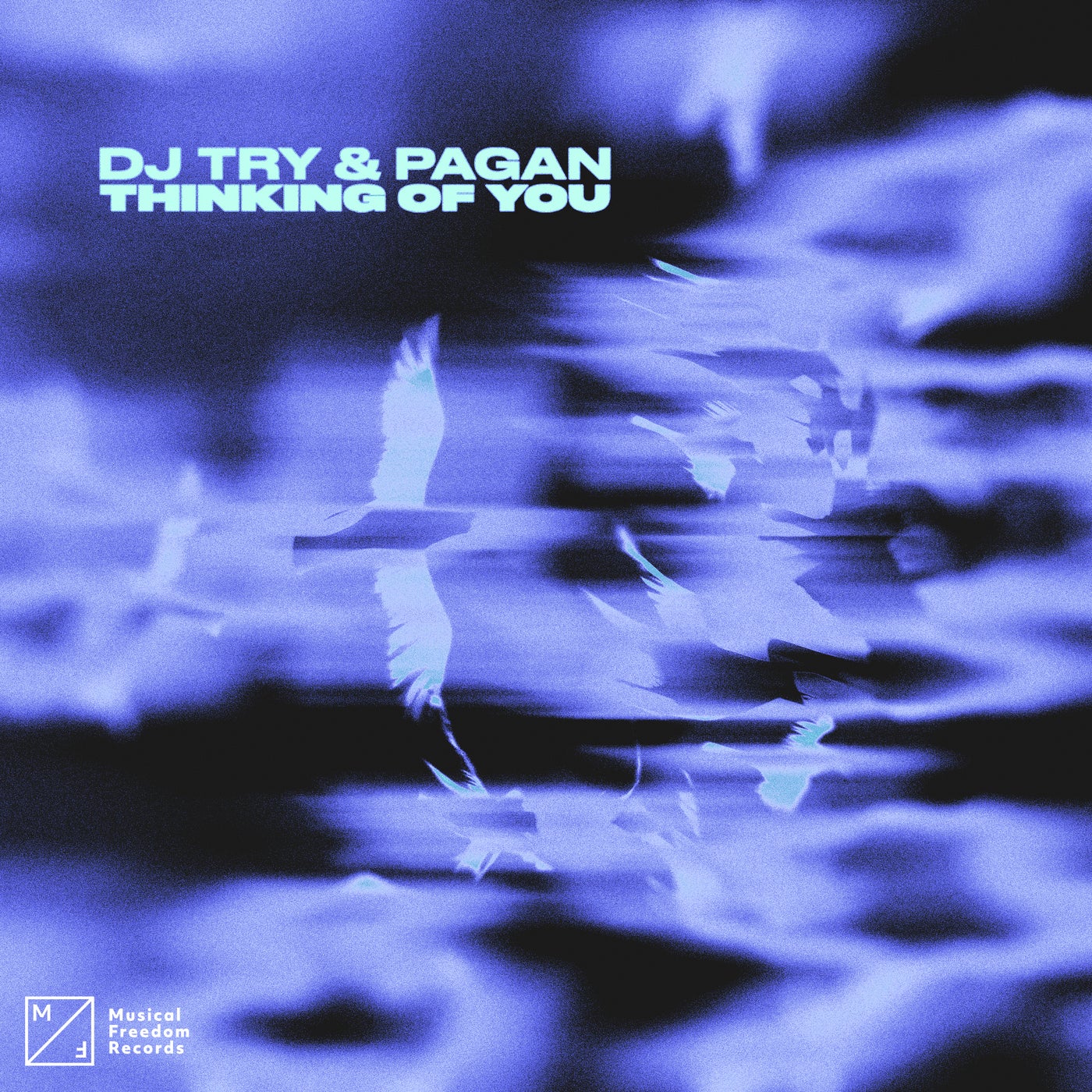 Cover - dj try, Pagan (IE) - Thinking Of You (Extended Mix) Promo tools