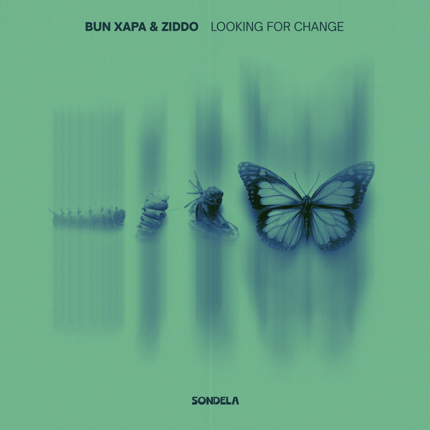 Cover - Bun Xapa, ZIDDO - Looking For Change (Extended Mix) Promo tools